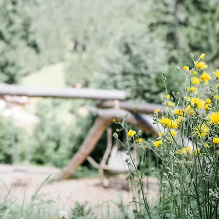 Σαλέ Kleinbretteneben